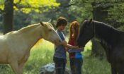 Kasırga 2 izle (2015)