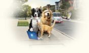 Kediler ve Köpekler 3: Pati Birliği izle (2020)