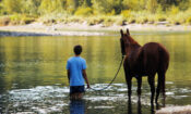 Lean on Pete izle (2018)