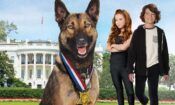Max 2: Beyaz Saray Kahramanı izle (2017)