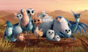 Minik Kuş izle (2014)