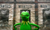 Muppets Aranıyor izle (2014)