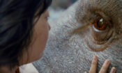 Okja izle (2017)