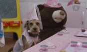 Robo-Dog: Airborne izle (2017)