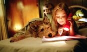 Sevgili Köpeğim izle (2005)