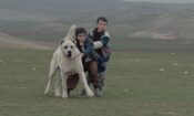 Sivas izle (2014)