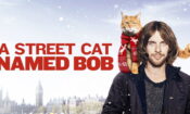 Sokak Kedisi Bob izle (2016)