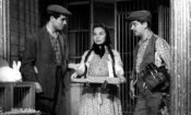 Üç Arkadaş izle (1958)