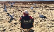 Varda par Agnès izle (2019)