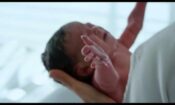 Voir le jour izle (2020)