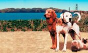 Yuvaya Dönüş II: San Francisco’da Kayıp izle (1996)