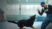 Canine Intervention izle