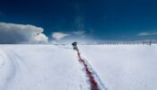 Fargo izle