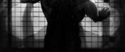 Interrogator